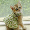 XWangPet Summer Cotton Sphynx Cat Dress with Love Flower Design