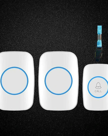 Wireless Emergency Alert System for Seniors with Enhanced Dual Notification and Long-Range Capability