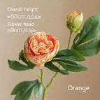 Sunset Orange