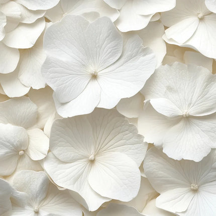 3D Feather & Flower Mural Wallpaper – Custom-Made, Multiple Patterns & Materials