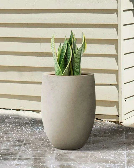 Sleek Contemporary Round Concrete Planter - Perfect for Indoor and Outdoor Use