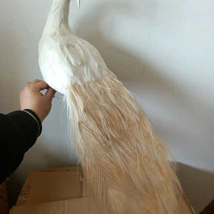 50cm White Simulation Peacock Model — Foam & Feather Decorative Figurine