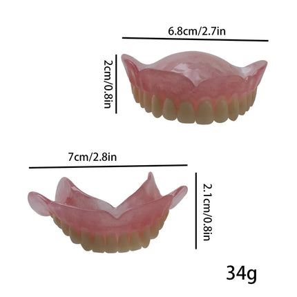 High-quality hot-selling medical dentals display model for education high-quality-hot-selling-medical-dentals-display-model-for-education