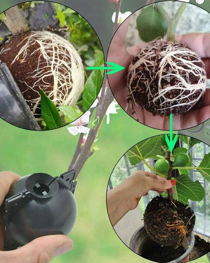 10-Pack Reusable Plant Rooting Spheres for Seamless Air Layering and Propagation