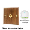 1G Momentary Switch