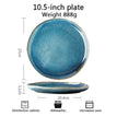 10.5 inches dish