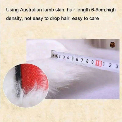 Sumptuous Authentic Australian Sheepskin Wool Area Rug - Cozy and Chic Home Accent Mat