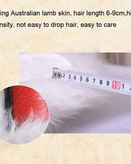 Sumptuous Authentic Australian Sheepskin Wool Area Rug - Cozy and Chic Home Accent Mat