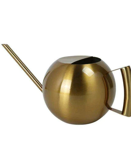 Stylish Stainless Steel Watering Can with Extended Spout - Perfect for Plant Nurturing