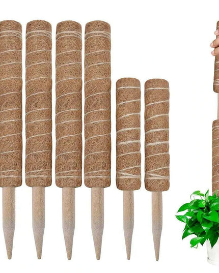 Vertical Garden Climbing Support Kit - Eco-Friendly Growth Solution for Indoor Plants