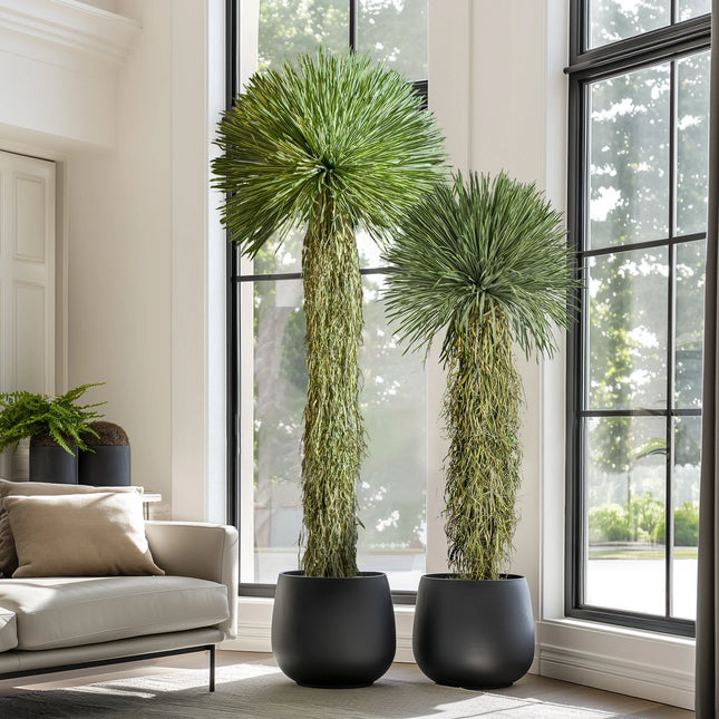 Dragon’s Blood Tree Faux Indoor Floor Plant — Dense Foliage, Living Room Decor