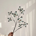 Cyan