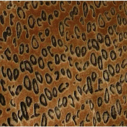 Luxurious King Size Cheetah Brown Velvet Plush Comforter Set with 2 Matching Shams