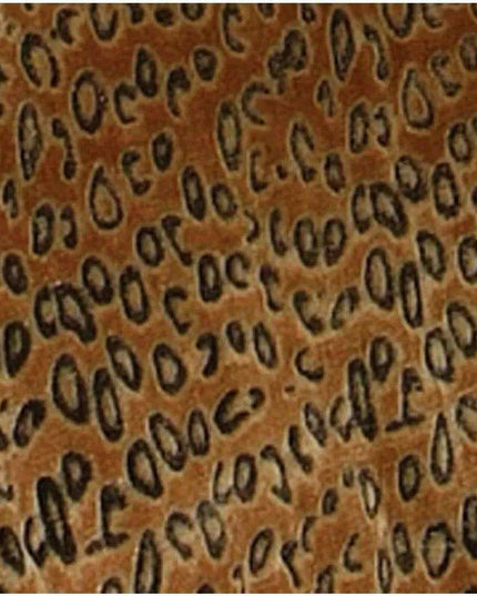 Luxurious King Size Cheetah Brown Velvet Plush Comforter Set with 2 Matching Shams