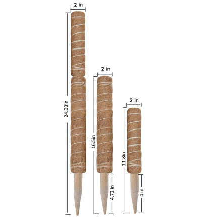 Vertical Garden Climbing Support Kit - Eco-Friendly Growth Solution for Indoor Plants