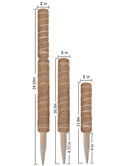 Vertical Garden Climbing Support Kit - Eco-Friendly Growth Solution for Indoor Plants