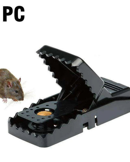 Humane and Eco-Conscious Live Mouse Capture Solution
