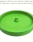 Green Tray