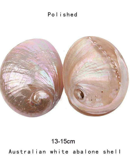 Natural Paua Abalone Shell Smudging Set with Tripod Stand - 11-13CM Eco-Friendly Home Accent