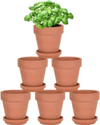 6Pcs Pots