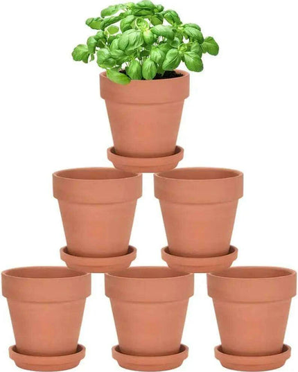 Set of 6 Adorable Mini Terracotta Pots with Saucers - Perfect for Succulents, Cacti, and Herbs - Sturdy Clay Planters for Home and Garden Decoration
