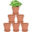 6Pcs Pots
