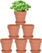 Set of 6 Adorable Mini Terracotta Pots with Saucers - Perfect for Succulents, Cacti, and Herbs - Sturdy Clay Planters for Home and Garden Decoration