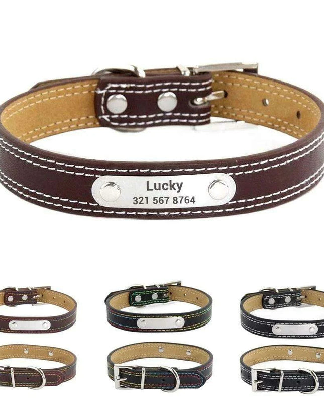 Glamorous Personalized Engraved Leather Dog Collar with Sparkling Accents