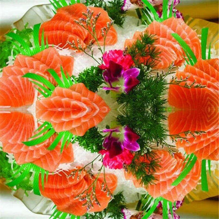 Gourmet Sushi Making Kit with Elegant Presentation and Sushi Bazooka