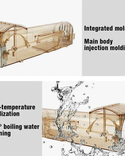 Humane and Eco-Conscious Live Mouse Capture Solution