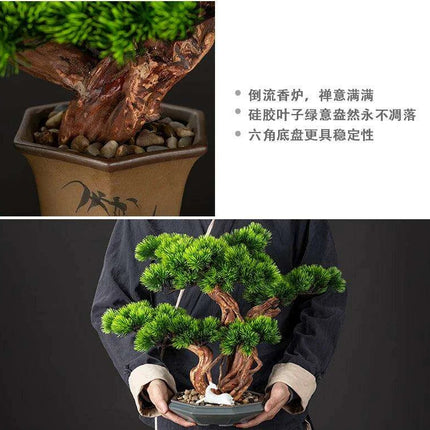 Prosperity Emblem Chinese Pine Bonsai - A Luxurious Symbol of Wealth and Abundance