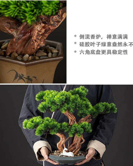 Prosperity Emblem Chinese Pine Bonsai - A Luxurious Symbol of Wealth and Abundance