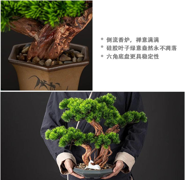 Chinese Pine Prosperity Bonsai - Handcrafted Symbol of Wealth and Fortune