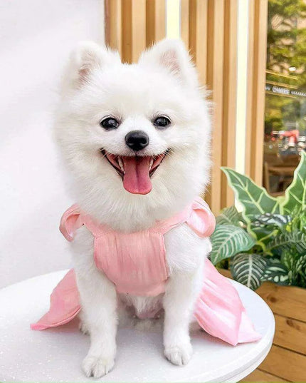 Charming Striped Butterfly Midi Dress for Small Dogs – Ideal for Special Occasions