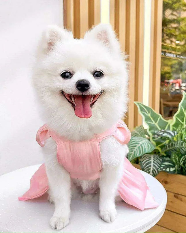 Charming Striped Butterfly Midi Dress for Small Dogs – Ideal for Special Occasions