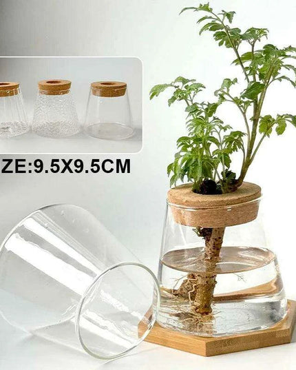 Chic Hydroponic Glass Vase - Modern Mini Planter for Stylish Home Decor