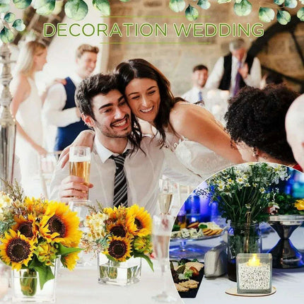 Stylish 16-Piece Square Glass Vase Set - Crystal Clear Home Accent Decor