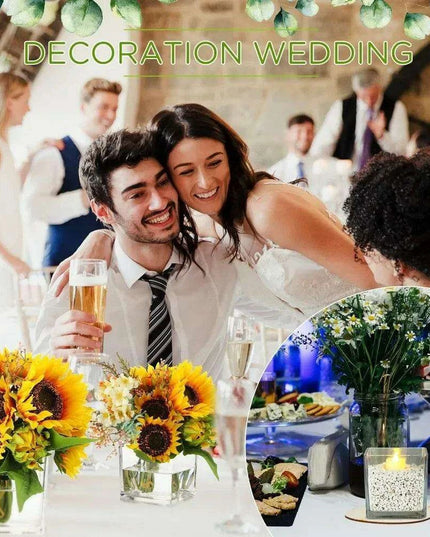 Stylish 16-Piece Square Glass Vase Set - Crystal Clear Home Accent Decor