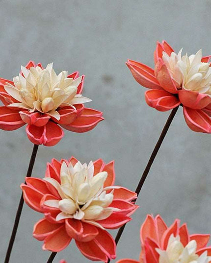 Artisanal Lotus Blossom Bouquet: A Rustic Touch for Your Home