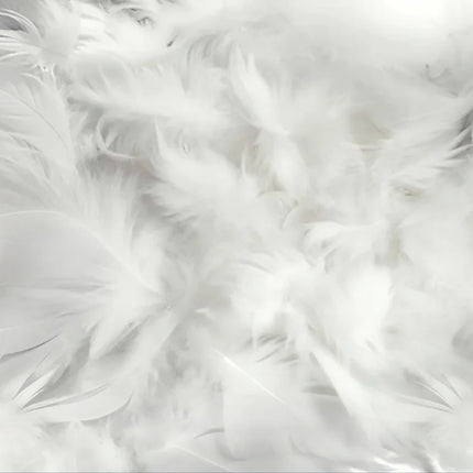 3D Abstract Feather & Flower Mural Wallpaper — Custom Size