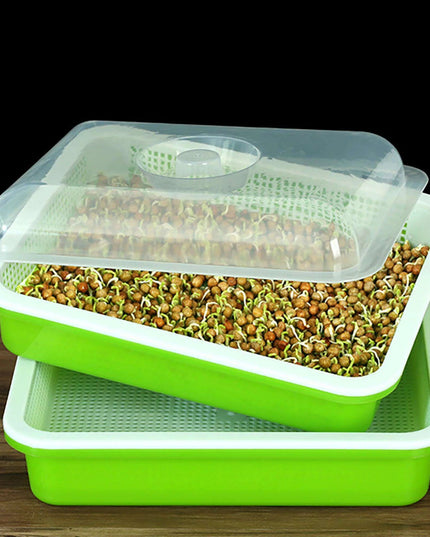 Sustainable Home Sprout Growing Kit - Easy Green & White Seed Tray Solution