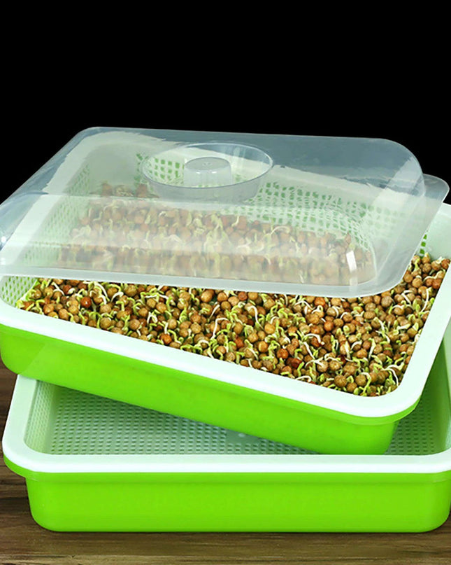 Sustainable Home Sprout Growing Kit - Easy Green & White Seed Tray Solution