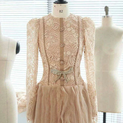 Elegant Lace and Mesh Evening Gown with Dazzling Details