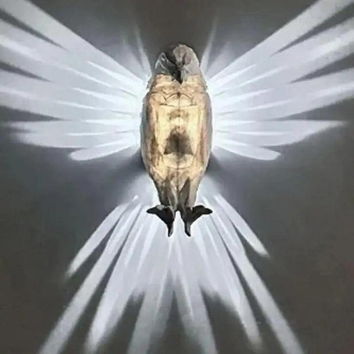 Golden Owl LED Wall Sconce - Charming Battery-Operated 3D Animal Lamp