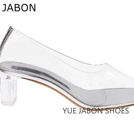 Longzehui Transparent High Heels – Pointed Toe Slip-On Perspex Pumps