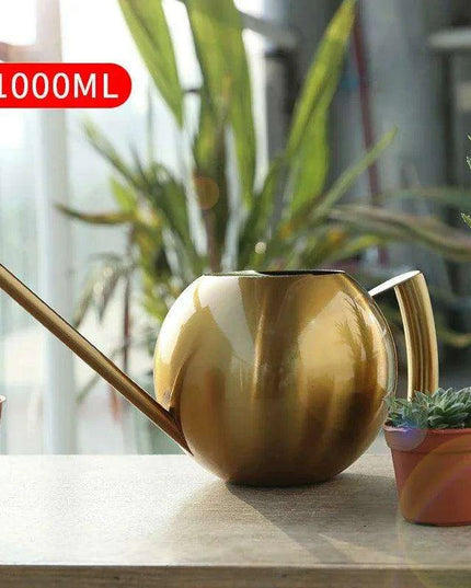 Stylish Stainless Steel Watering Can with Extended Spout - Perfect for Plant Nurturing