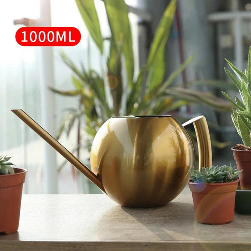 Stylish Stainless Steel Watering Can with Extended Spout - Perfect for Plant Nurturing