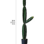 Fan Leaf