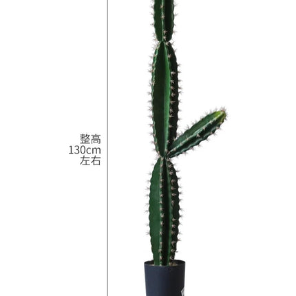 Home Decoration. 80 Characters Simulated Green Plants for Indoor Micro-landscape Decor Under Staircase the-space-under-the-staircase-is-decorated-with-simulated-green-plants-in-the-desert-creating-indoor-micro-landscape