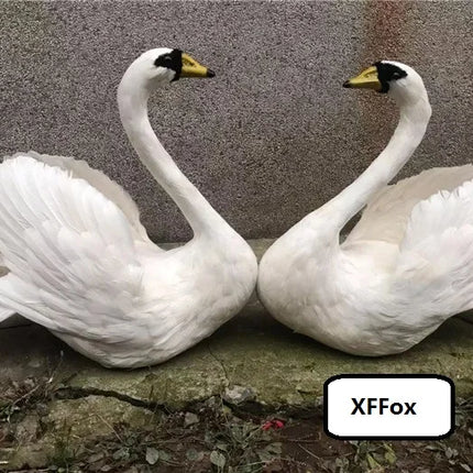Realistic Large Swan Garden Decoration — Foam & Feather, 50×55cm